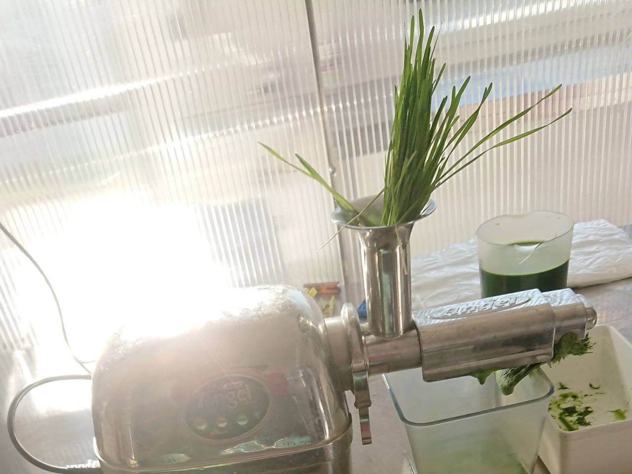 bioBúzafűlé.hu webáruház